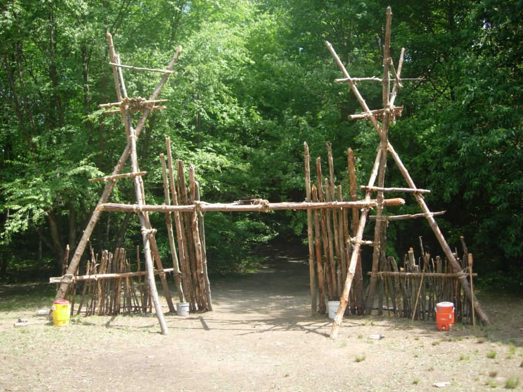 Pioneering Pioneering