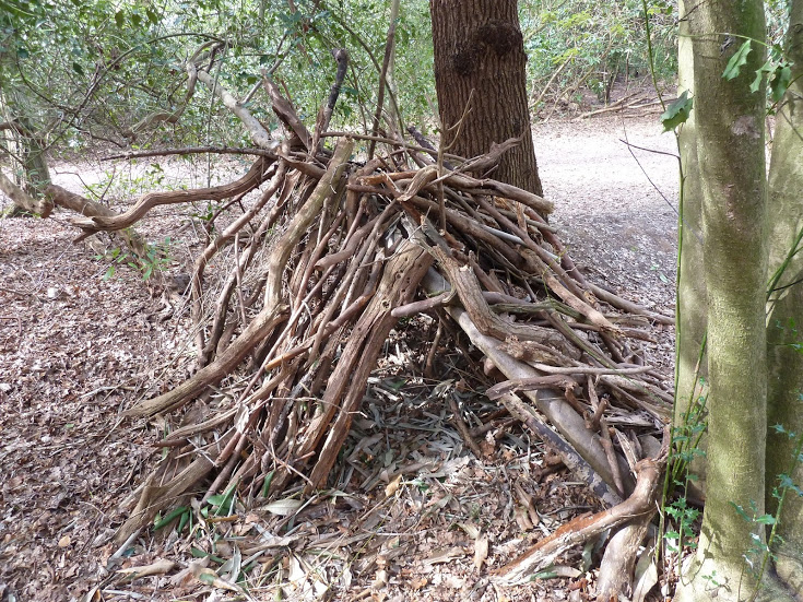 Shelter Building