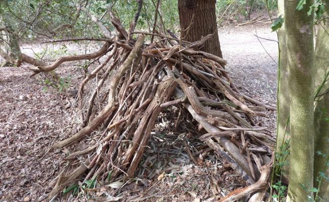 Shelter Building